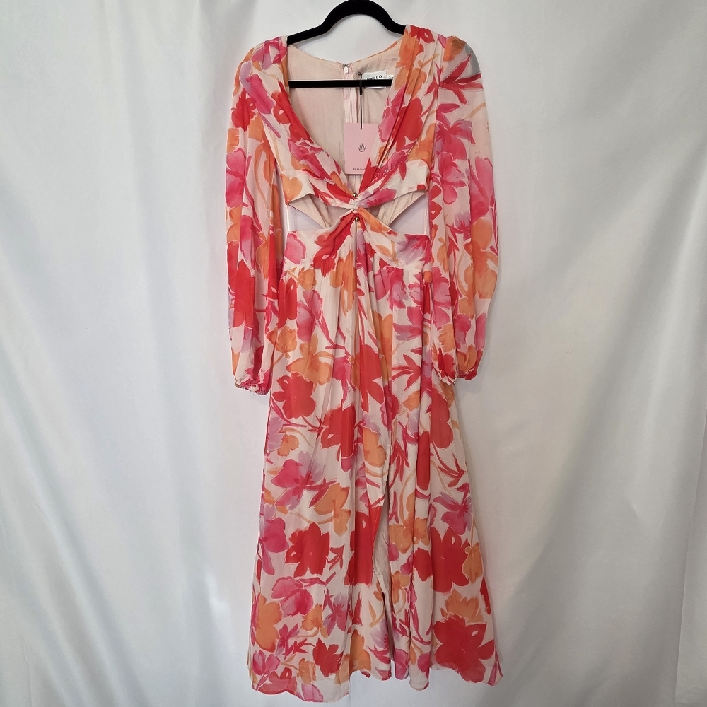 Hello Molly Spring Sunsets Maxi Long Sleeve Dress Floral Pink Small